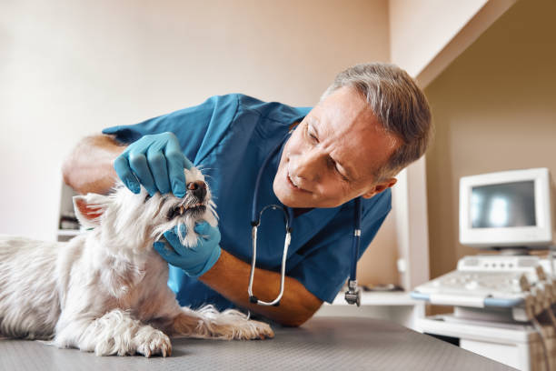 Best Emergency Wisdom Teeth Removal in Slinger, WI